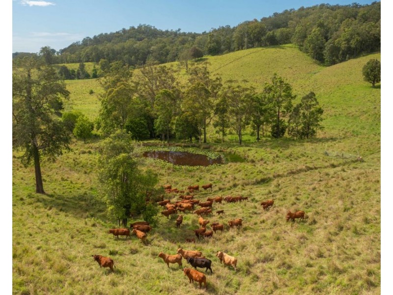 1562-1620 NORTH ARM ROAD, Argents Hill NSW 2449