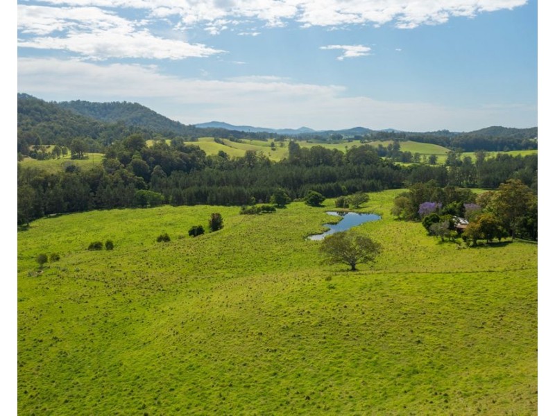 1562-1620 NORTH ARM ROAD, Argents Hill NSW 2449