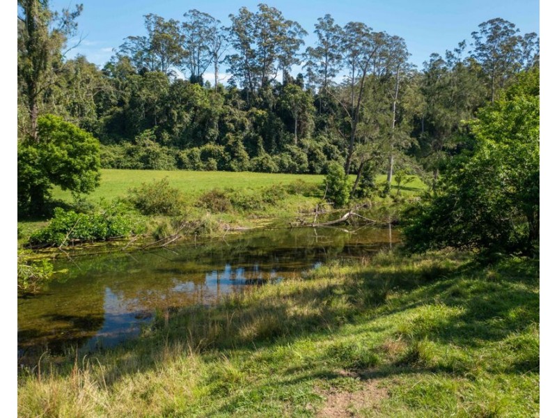 1562-1620 NORTH ARM ROAD, Argents Hill NSW 2449