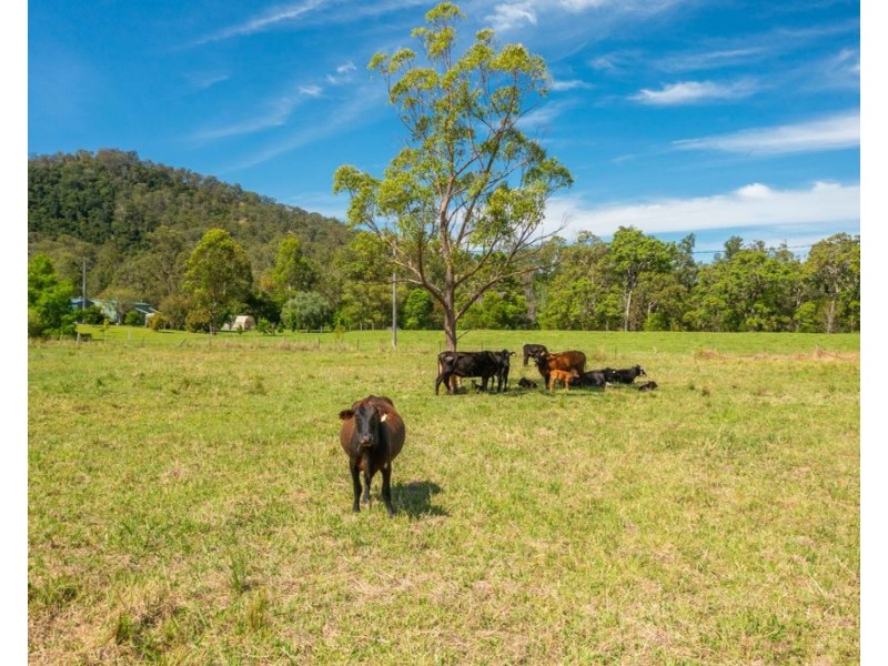 7276 Oxley Highway, Yarras NSW 2446