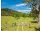 7276 Oxley Highway, Yarras NSW 2446