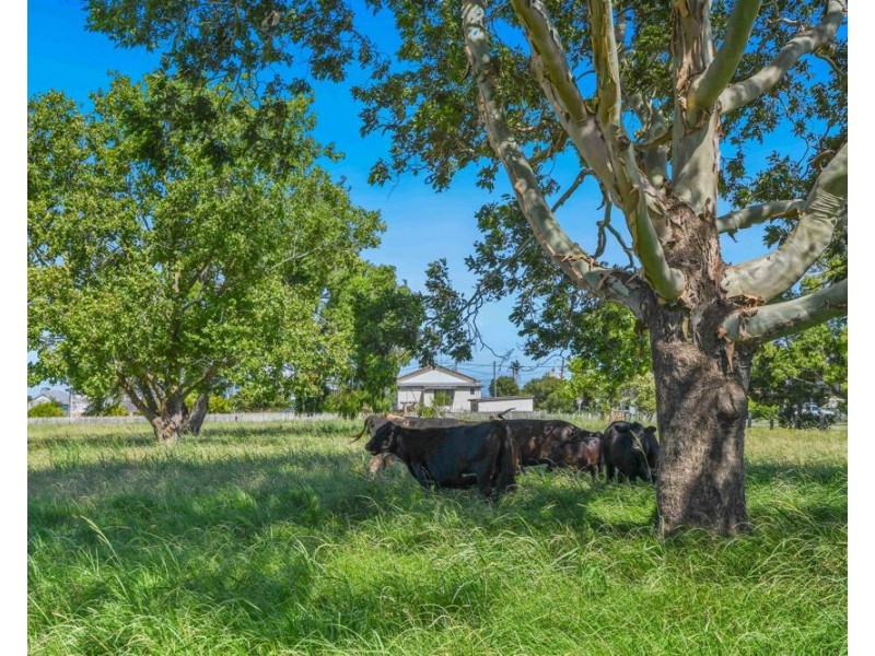 21 Darkwater Street, Gladstone NSW 2440