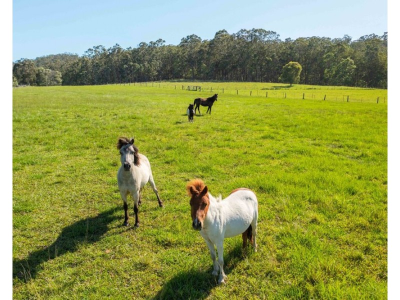 112 Mingaletta Road, Kundabung NSW 2441