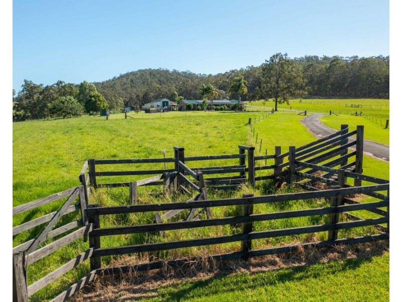 112 Mingaletta Road, Kundabung NSW 2441