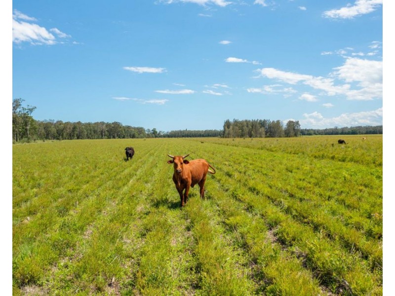 1205 Maria River Road, Limeburners Creek NSW 2444