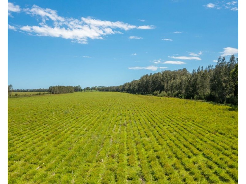 1205 Maria River Road, Limeburners Creek NSW 2444