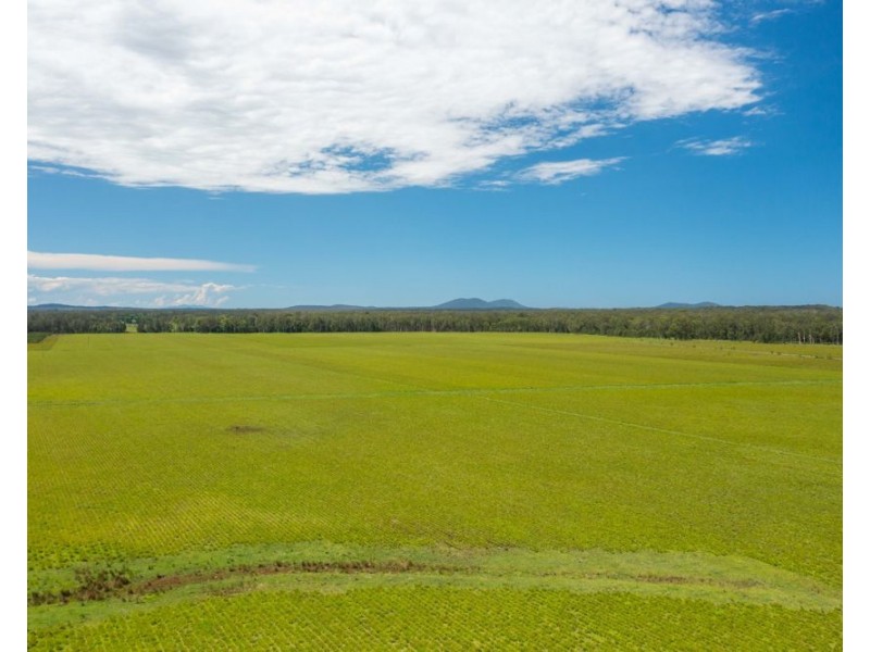 1205 Maria River Road, Limeburners Creek NSW 2444