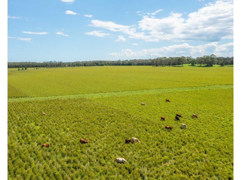 1205 Maria River Road, Limeburners Creek NSW 2444