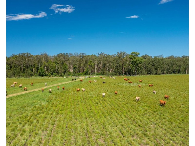1205 Maria River Road, Limeburners Creek NSW 2444