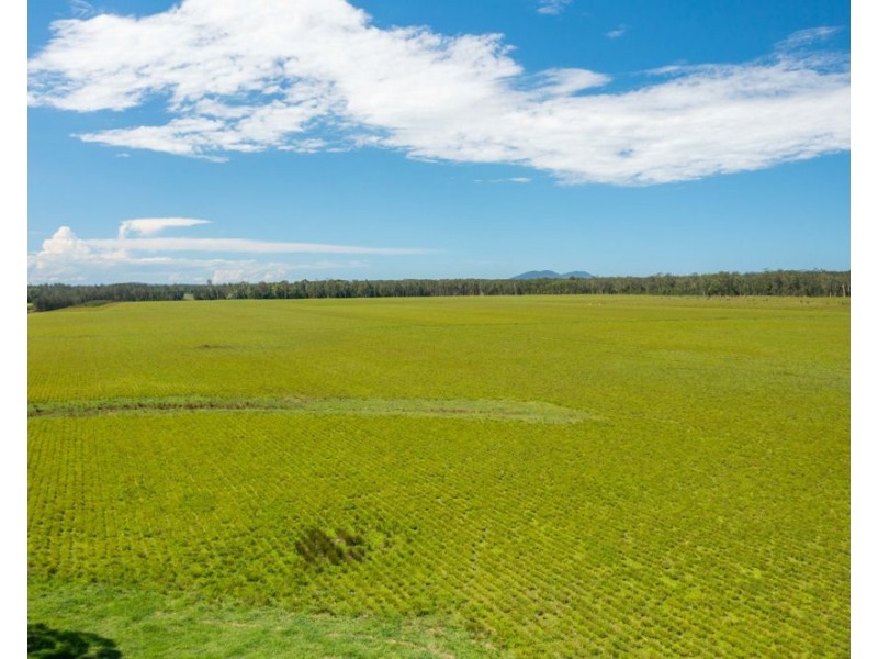 1205 Maria River Road, Limeburners Creek NSW 2444