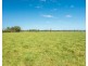 282 Newtons Road, Dumaresq Island NSW 2430