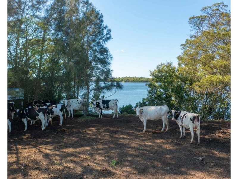 282 Newtons Road, Dumaresq Island NSW 2430