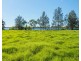 282 Newtons Road, Dumaresq Island NSW 2430
