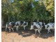 282 Newtons Road, Dumaresq Island NSW 2430