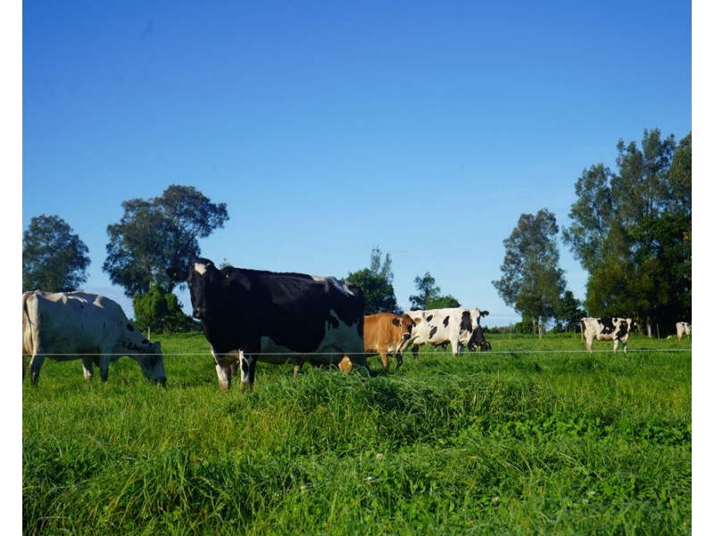282 Newtons Road, Dumaresq Island NSW 2430