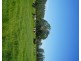 282 Newtons Road, Dumaresq Island NSW 2430