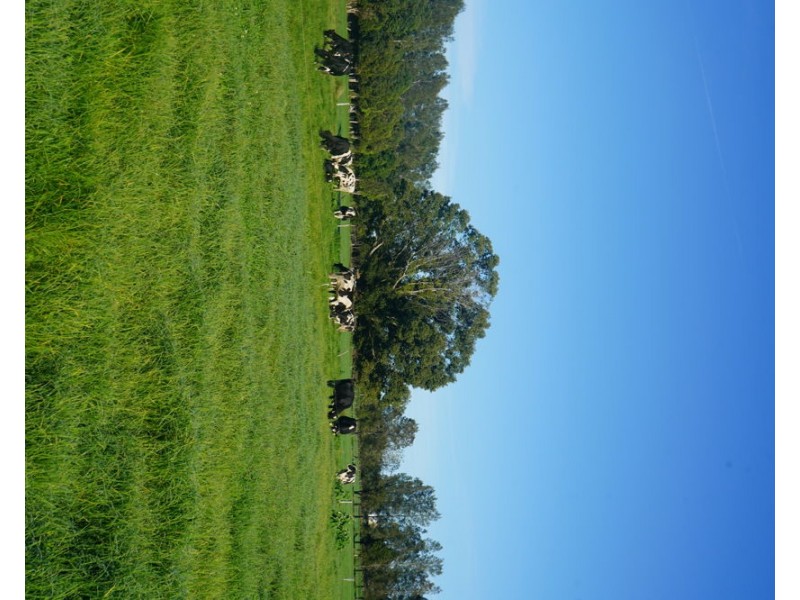 282 Newtons Road, Dumaresq Island NSW 2430