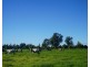 282 Newtons Road, Dumaresq Island NSW 2430