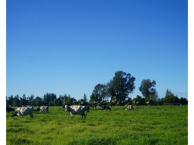 282 Newtons Road, Dumaresq Island NSW 2430