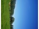 282 Newtons Road, Dumaresq Island NSW 2430