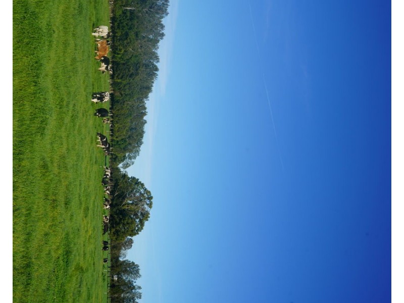 282 Newtons Road, Dumaresq Island NSW 2430