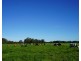 282 Newtons Road, Dumaresq Island NSW 2430