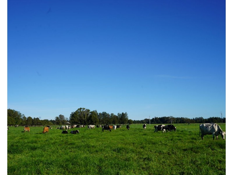 282 Newtons Road, Dumaresq Island NSW 2430