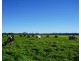 282 Newtons Road, Dumaresq Island NSW 2430