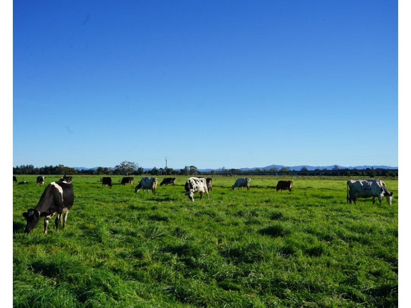 282 Newtons Road, Dumaresq Island NSW 2430