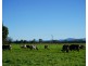 282 Newtons Road, Dumaresq Island NSW 2430