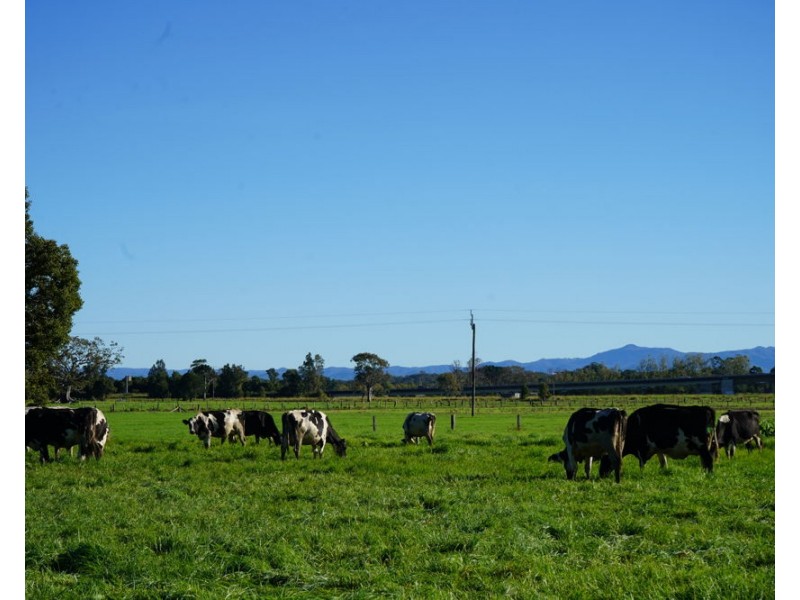 282 Newtons Road, Dumaresq Island NSW 2430