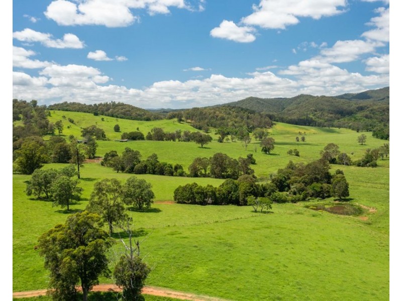 310 Yessabah Road, Yessabah NSW 2440