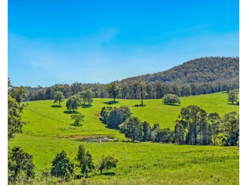 310 Yessabah Road, Yessabah NSW 2440