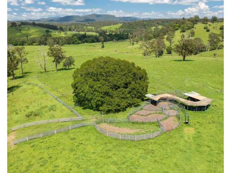 310 Yessabah Road, Yessabah NSW 2440