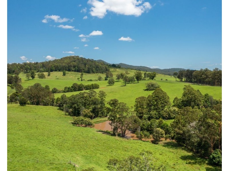 310 Yessabah Road, Yessabah NSW 2440