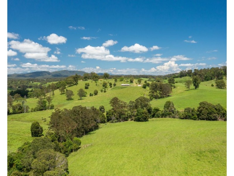 310 Yessabah Road, Yessabah NSW 2440