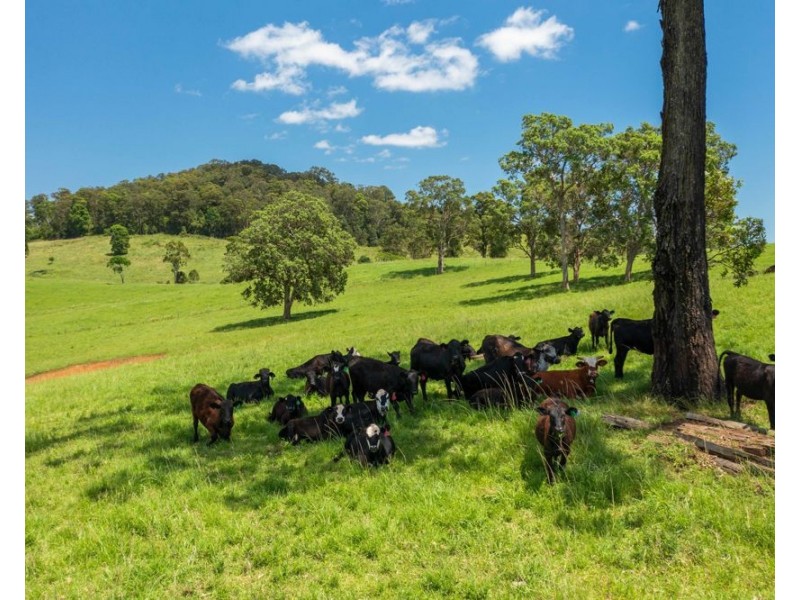 310 Yessabah Road, Yessabah NSW 2440