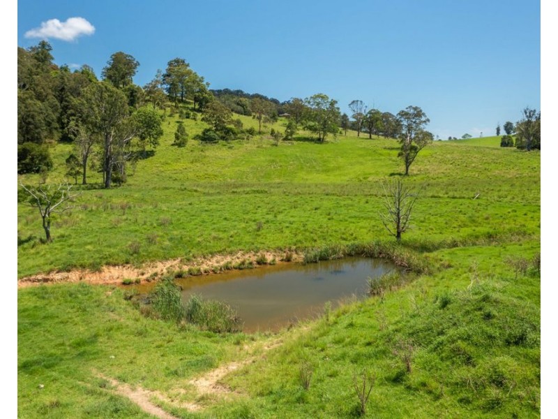 310 Yessabah Road, Yessabah NSW 2440