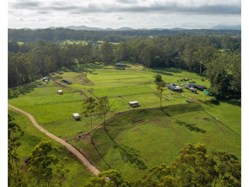 58 NELSONS ROAD, Bago NSW 2446