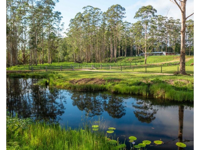 58 NELSONS ROAD, Bago NSW 2446