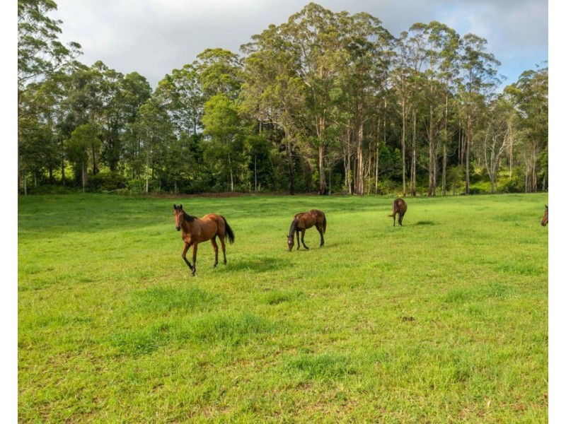 58 NELSONS ROAD, Bago NSW 2446