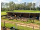 58 NELSONS ROAD, Bago NSW 2446