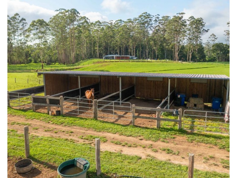 58 NELSONS ROAD, Bago NSW 2446