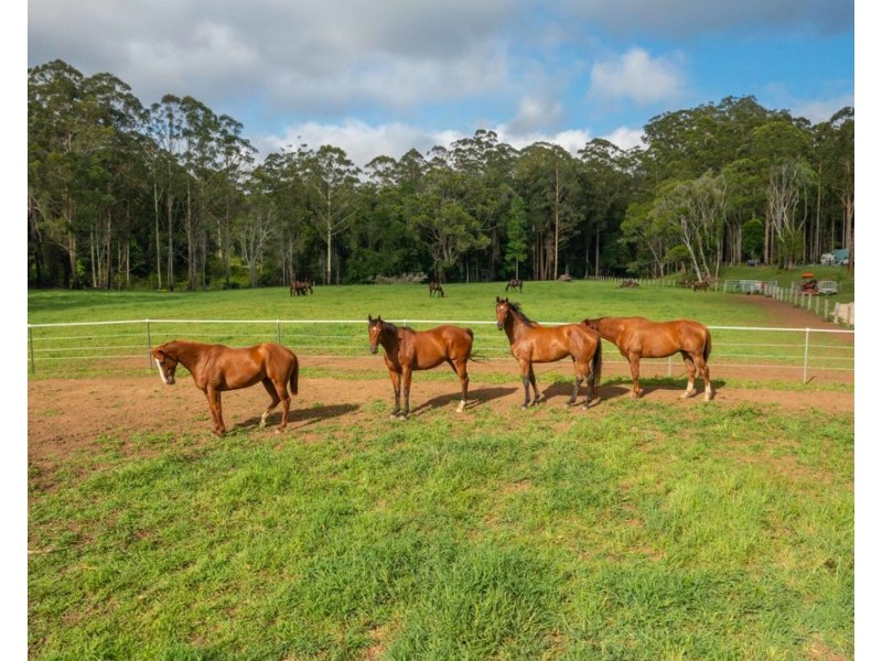 58 NELSONS ROAD, Bago NSW 2446