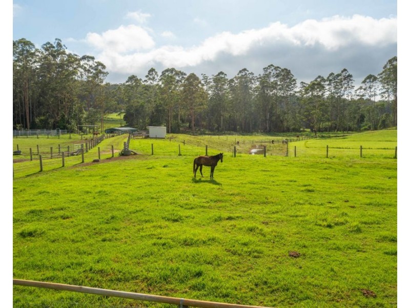 58 NELSONS ROAD, Bago NSW 2446