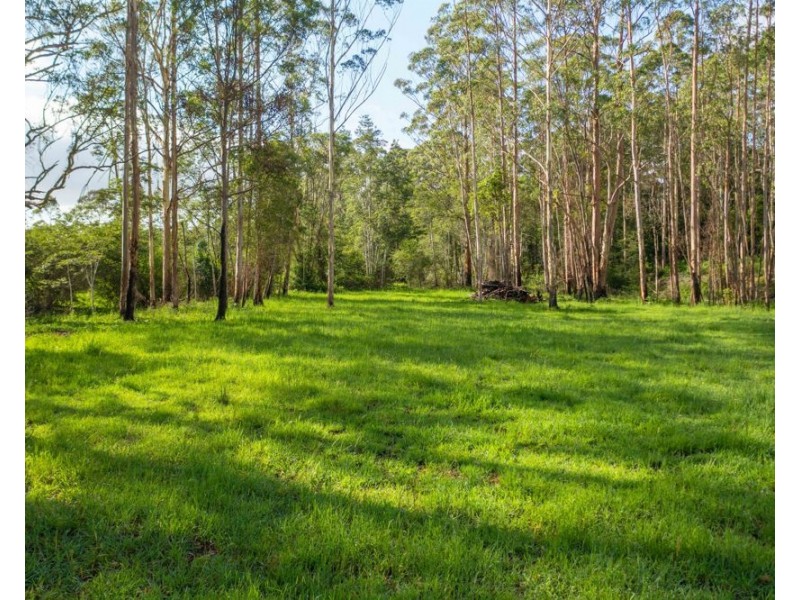 58 NELSONS ROAD, Bago NSW 2446