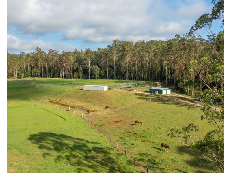 58 NELSONS ROAD, Bago NSW 2446