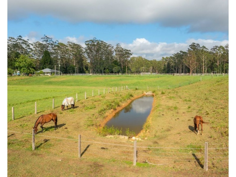 58 NELSONS ROAD, Bago NSW 2446