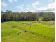 58 NELSONS ROAD, Bago NSW 2446