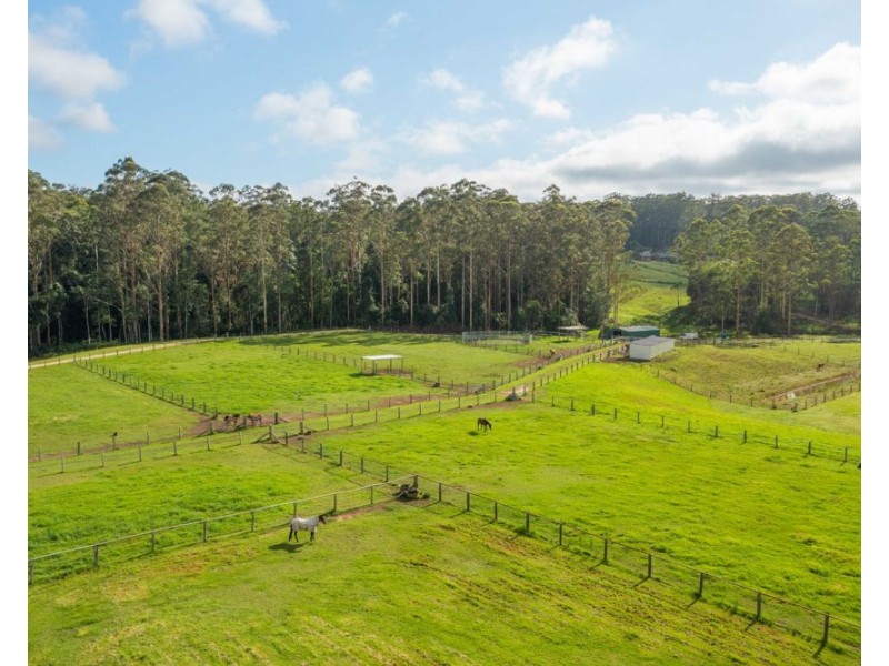 58 NELSONS ROAD, Bago NSW 2446